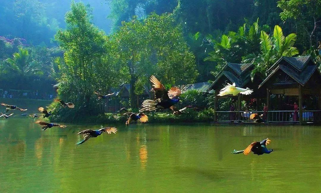 侍忍者